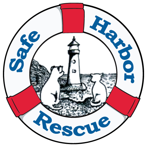 Safe Harbor Rescue